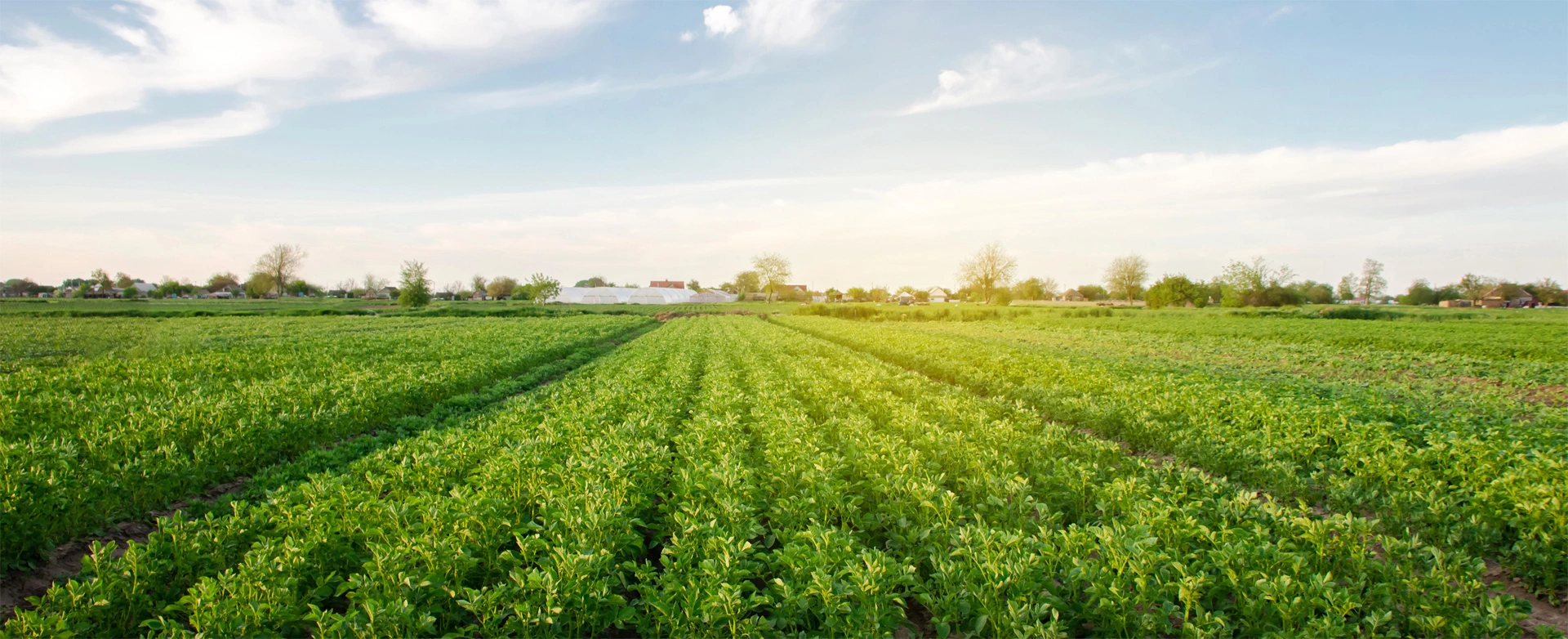 Wir ackern hier und heute<br>für morgen.