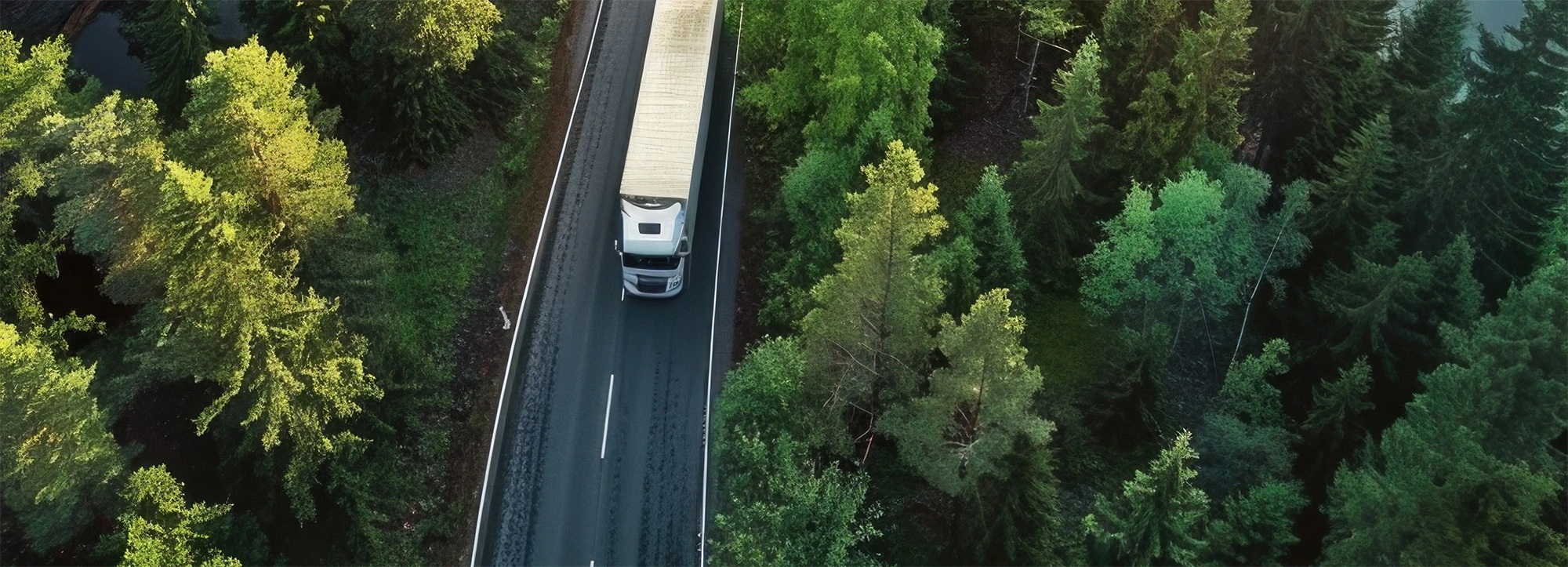 KK Kartoffeln KK Kartoffeln