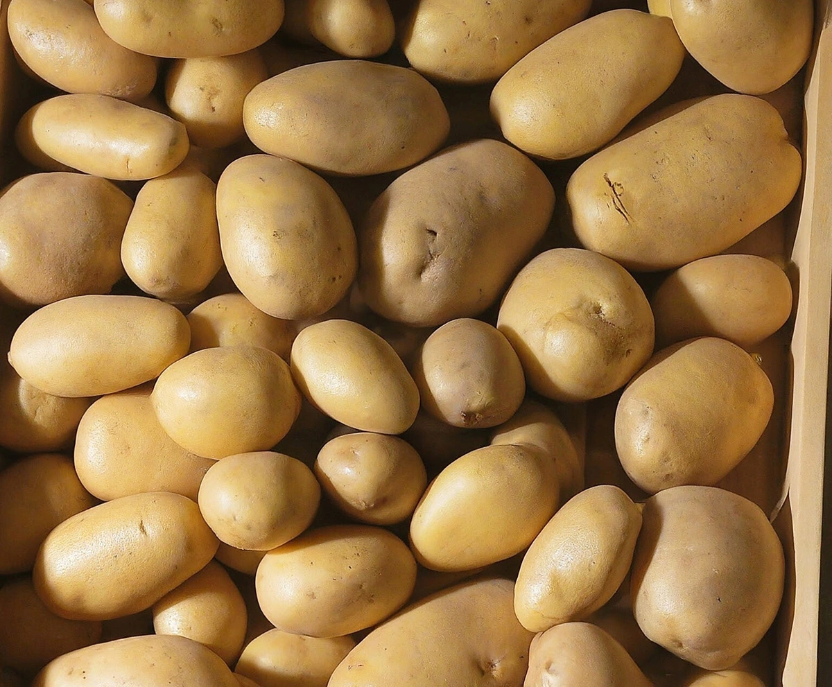 Wir ernten regional und<br>handeln weltweit.